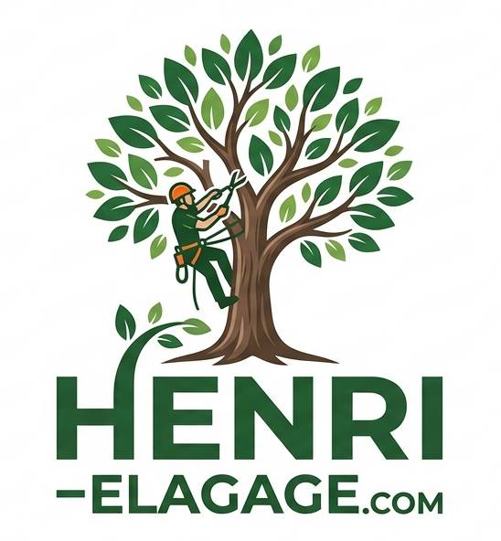 Logo_for_Henri-elagage.com_202606011012-e1780301654904.